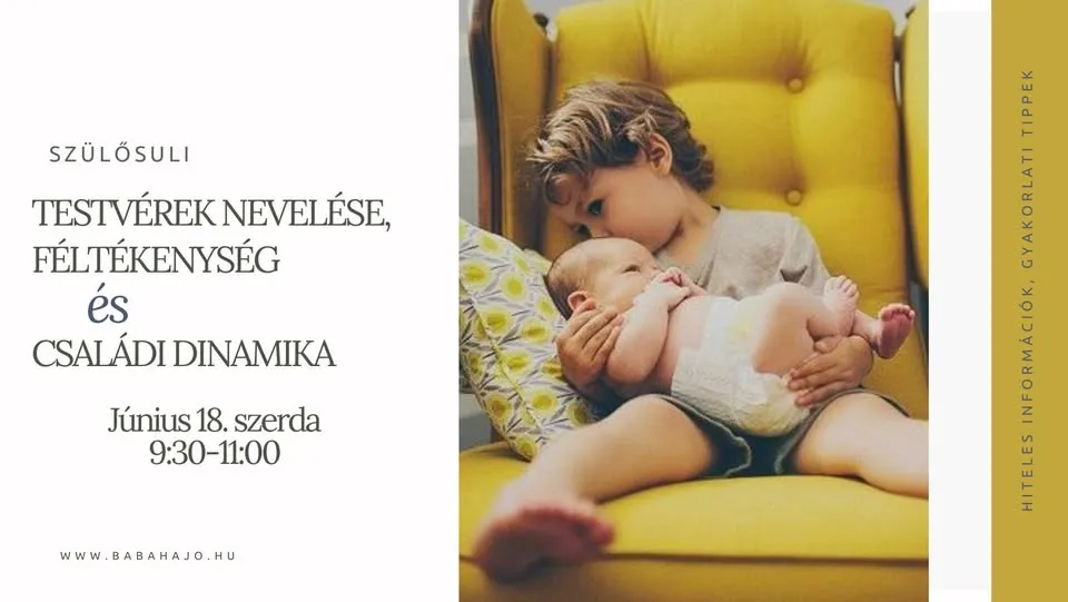 Roditeljska škola - Podizanje braće, Brat Ljubomora, Porodična dinamika